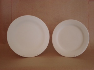 Dinner plate (rimmed)